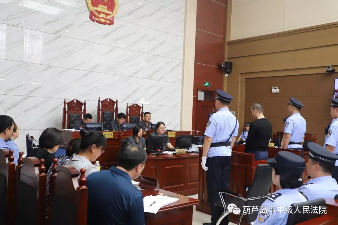 葫芦岛最新案件论述