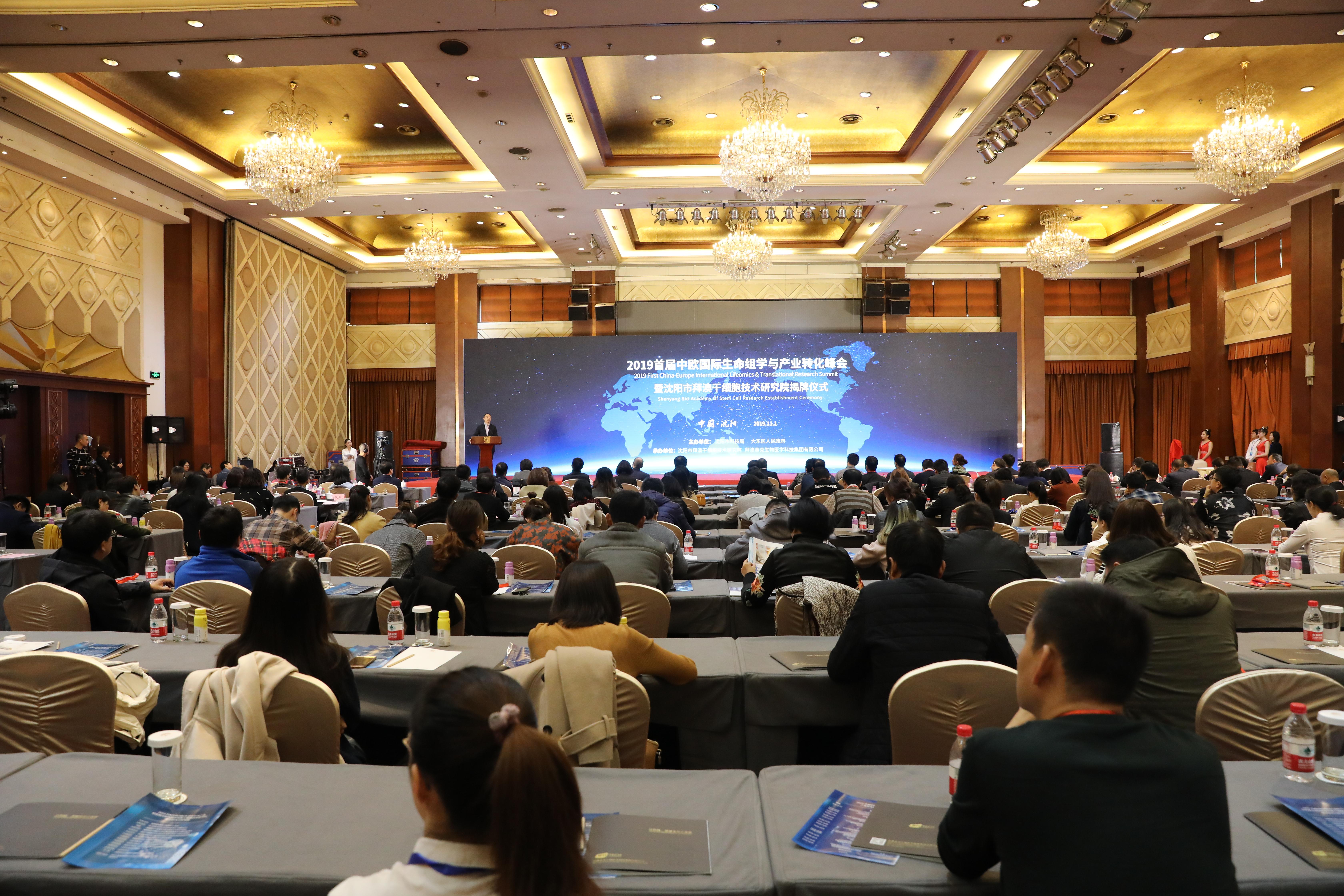 干细胞最新进展与爱的奇迹