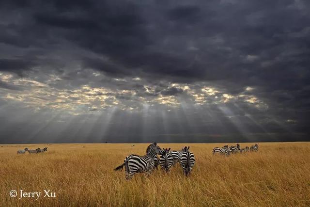 2024最新短发图片,一场自然美景的旅行探索