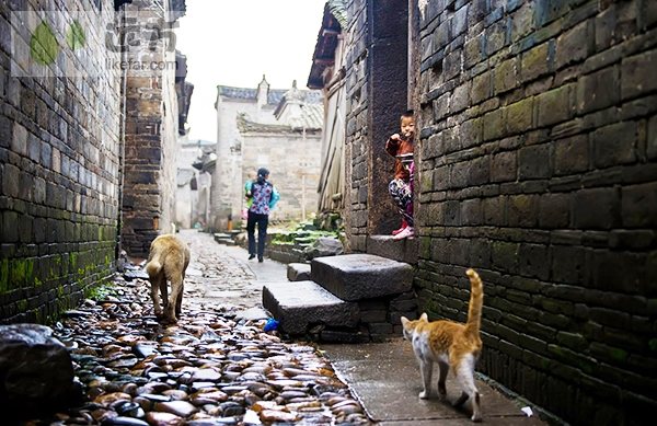 江西乐安最新新闻,小巷深处的独特风味