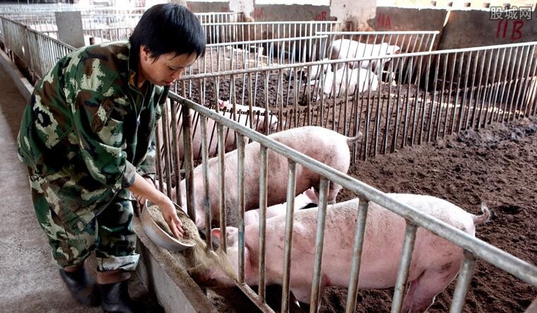 动如脱兔_1 第6页