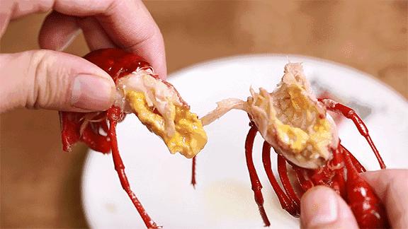 龙虾最新价格指南,如何获取并理解龙虾的市场价格