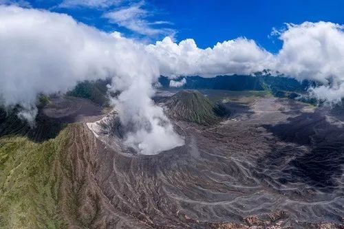 绿意盎然 第7页