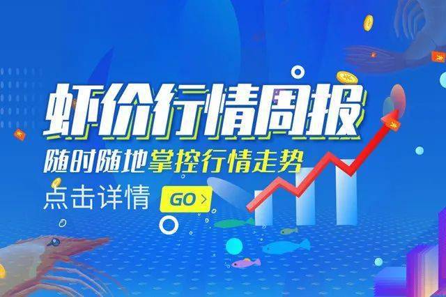 龙争虎斗 第6页