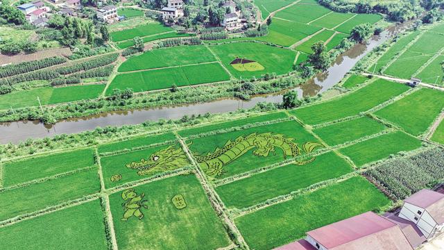 摇摆不定 第7页