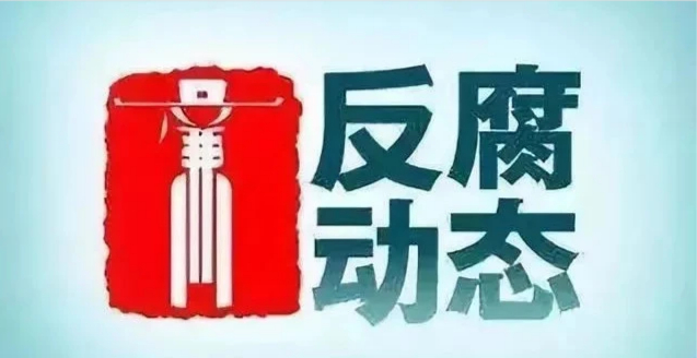 莆田反腐最新动态与参与反腐步骤指南,初学者与进阶用户必读