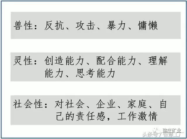 漏网之鱼 第5页