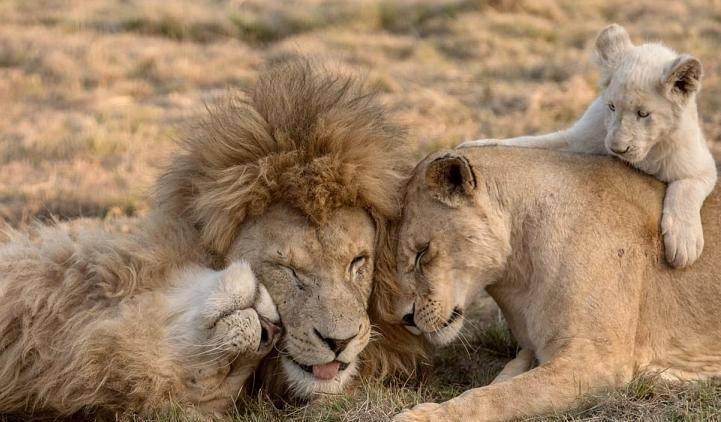 姹紫嫣红 第5页