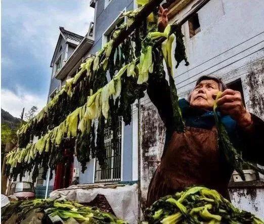 浑水摸鱼 第7页