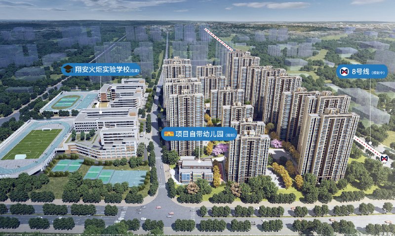 同安环东海域最新动态,多维解读发展动向与个人立场展望