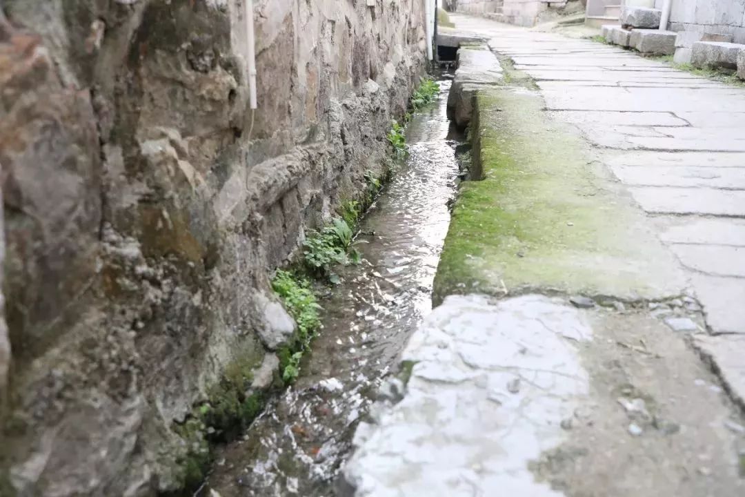 淄川小女孩最新动态揭秘,小巷深处的特色小店发现之旅