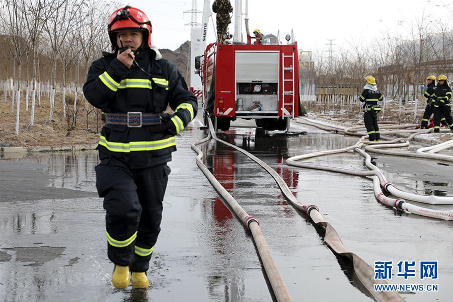 闻鸡起舞 第5页