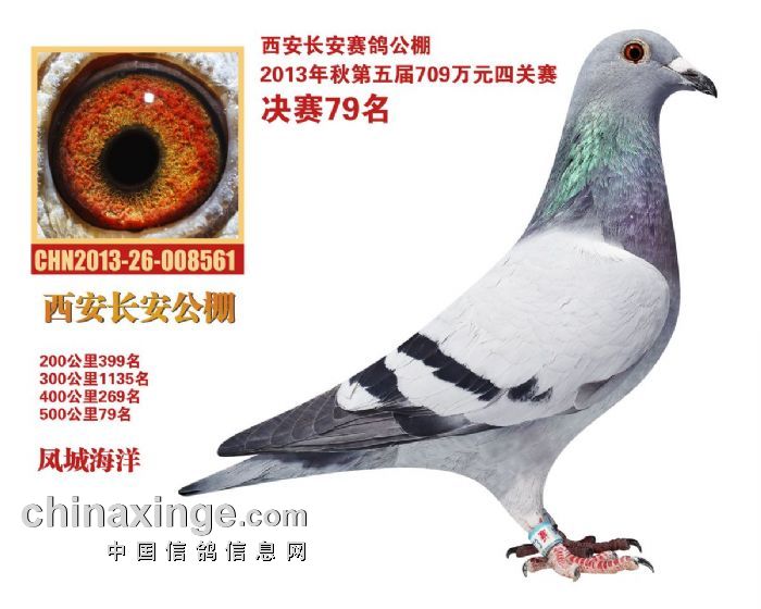 十指连心 第5页