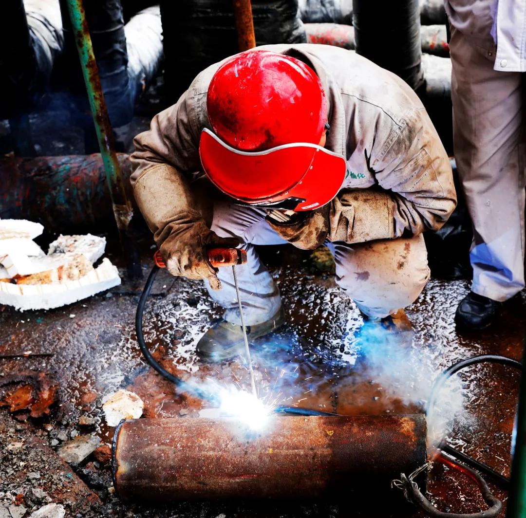 桃红柳绿 第5页