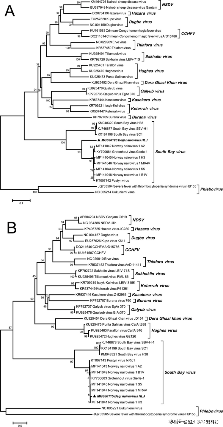 新奥门免费资料正版,免费分享定义解读_AOS79.896专业版