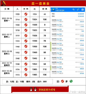 奥门一肖一码佰份佰精准,精准分析实践_LHM79.281变革版