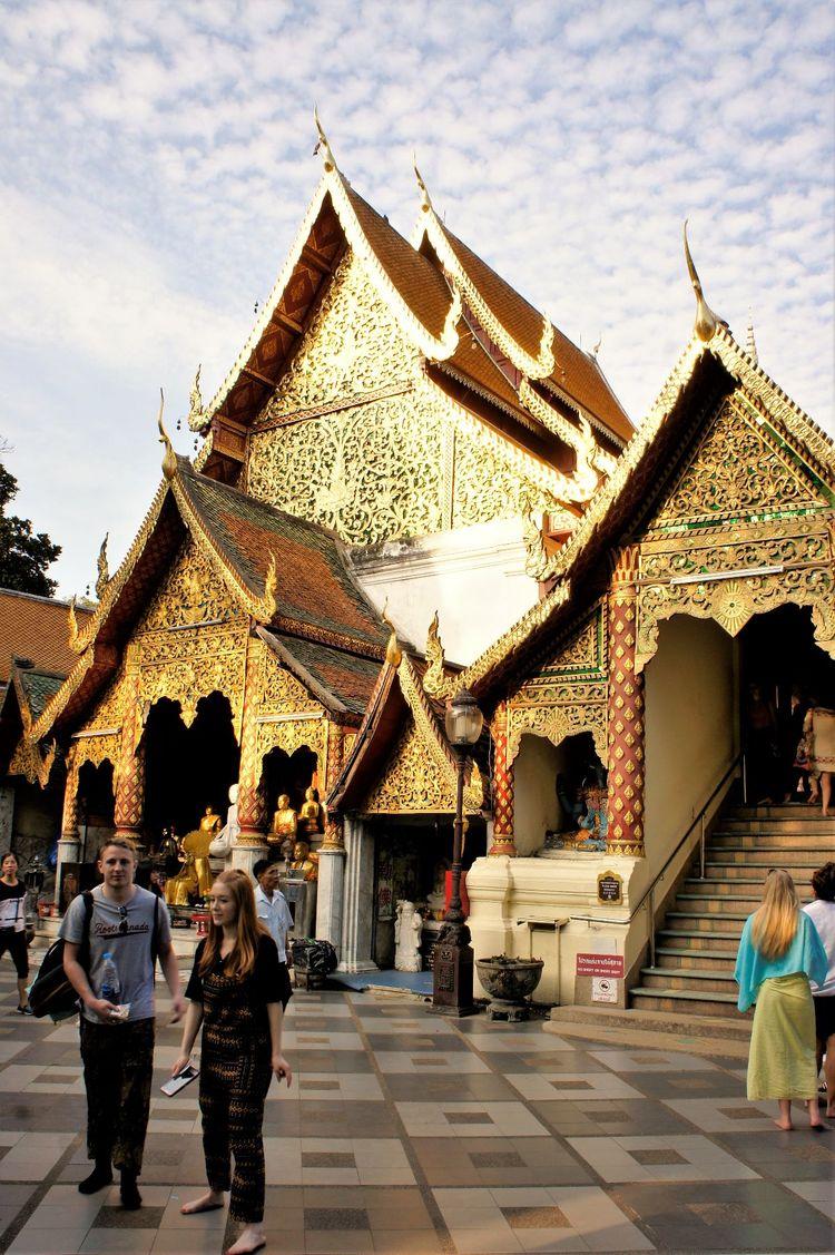 引狼入室 第4页