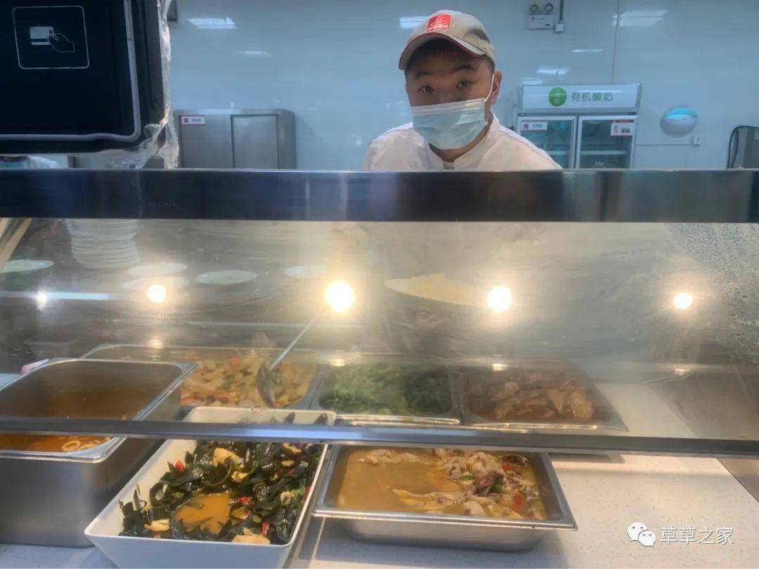 合肥食堂的新篇章，承包的温馨日常