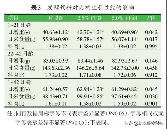 2020年今晚澳门特马号,策略调整改进_LMG35.598解题版