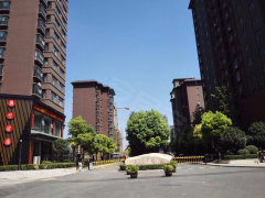 画虎类狗 第4页