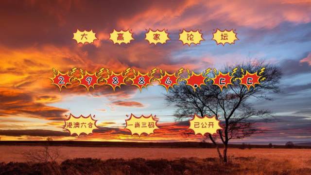 7777788888新版跑狗图解析,实证解读说明_高级版49.467