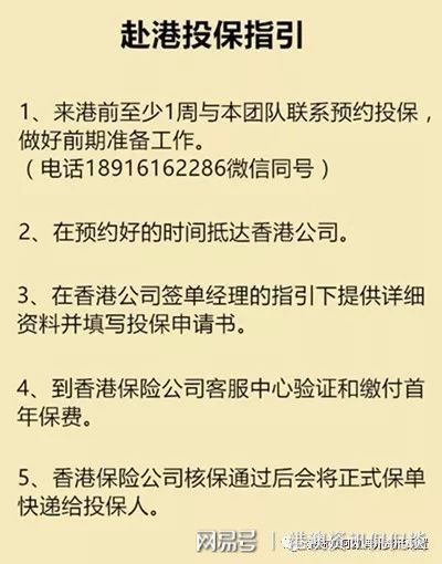 香港全年免费资料大全正,未来展望解析说明_Essential53.805