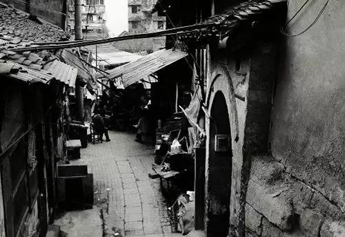 龙门最快最精准免费资料,经典解释落实_pro29.603