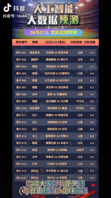 2024年正版免费天天开彩,灵活执行方案_YWS23.820传统版