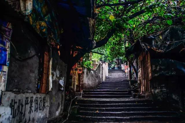 天博最新下载地址，小巷深处的独特风味探秘