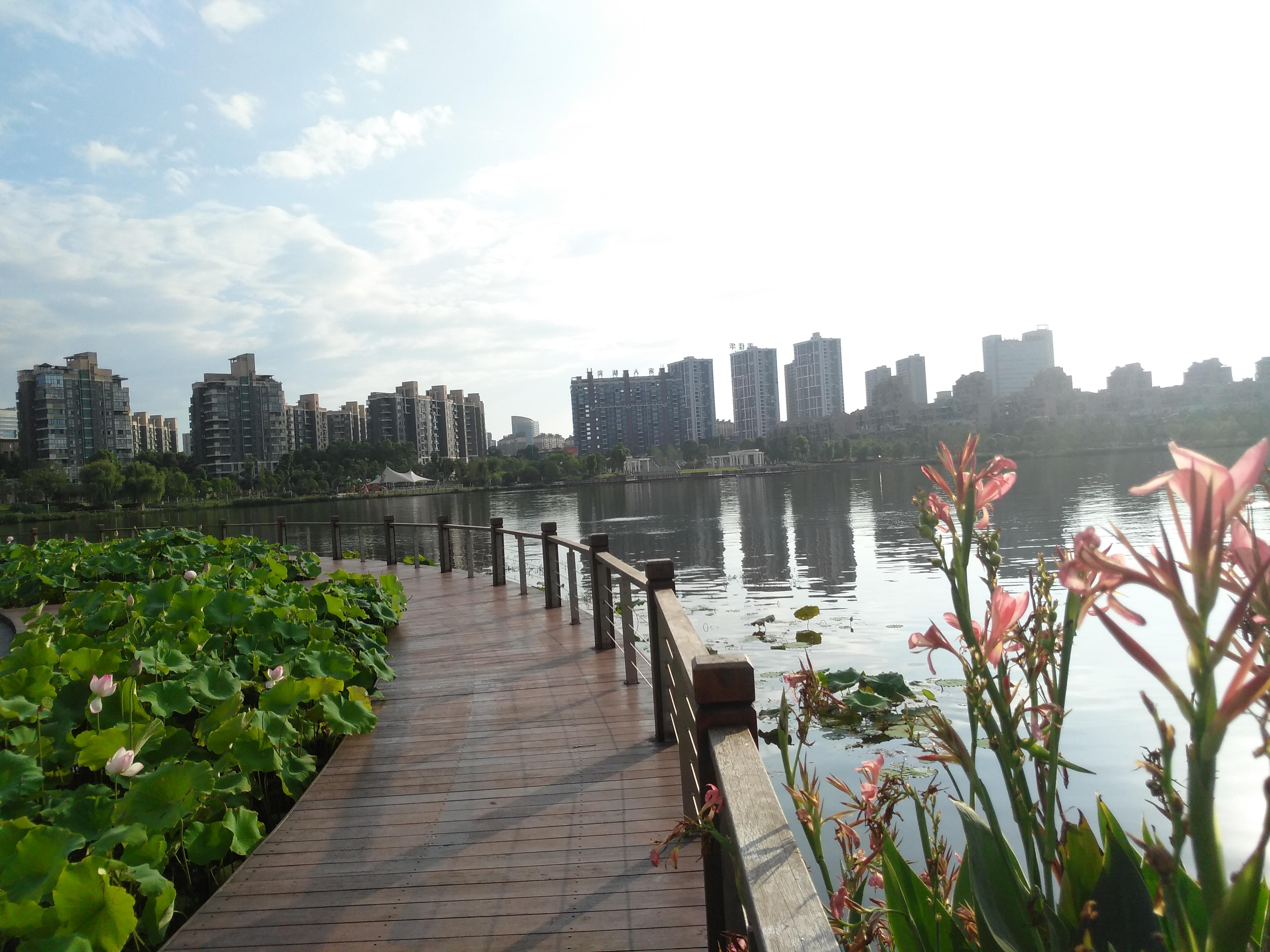 四分五裂 第3页