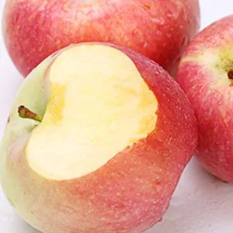 绿阴如盖 第3页