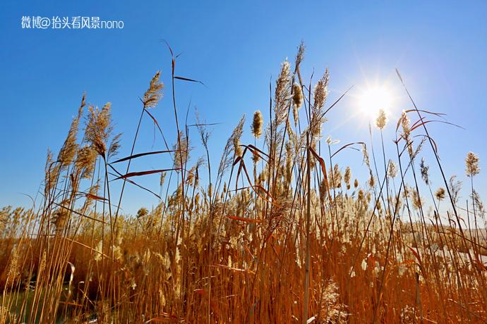 温馨相伴，舞动日常——一部企业舞蹈视频背后的故事