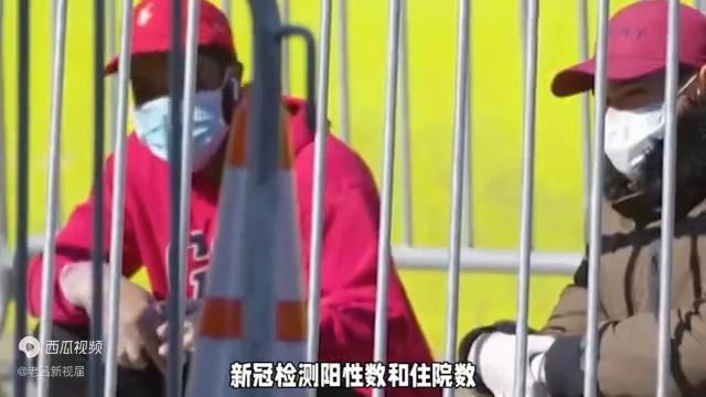 新冠又来了2024北京,高效性设计规划_启动版5.818