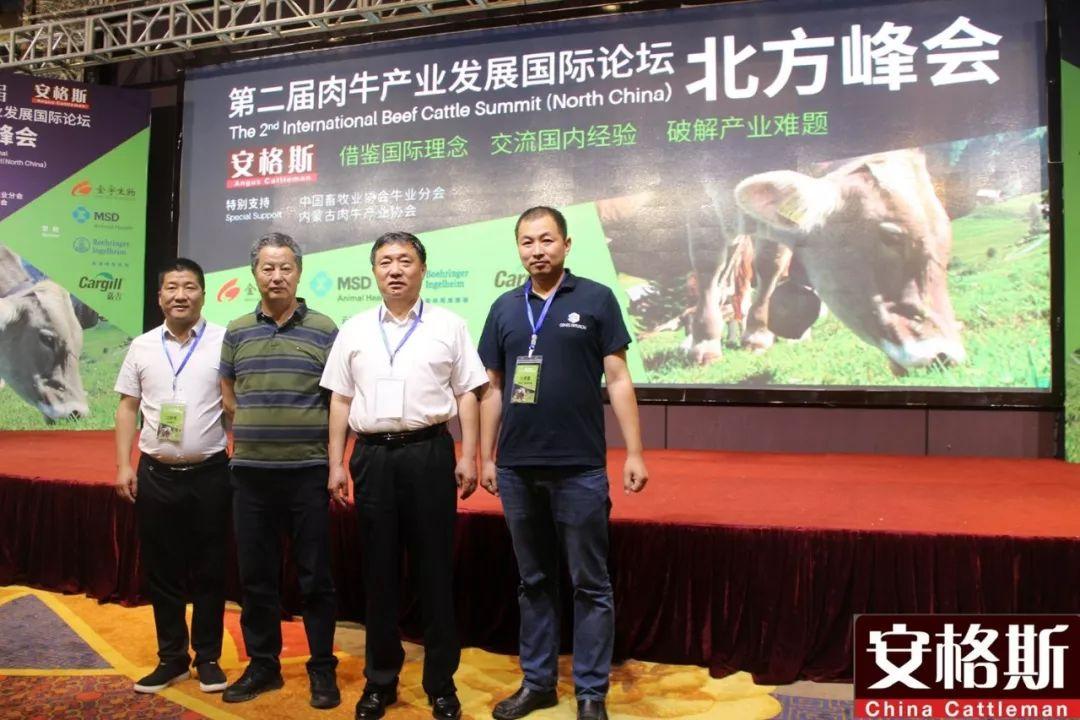 河南肉牛价格行情,一场与自然美景的旅行邂逅,寻找内心的平静