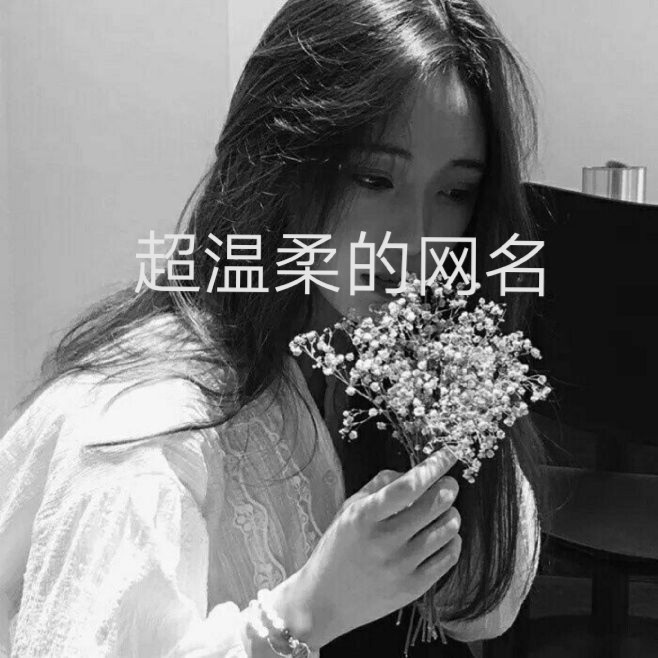 温柔网名最新，一场网络文化的温柔革命